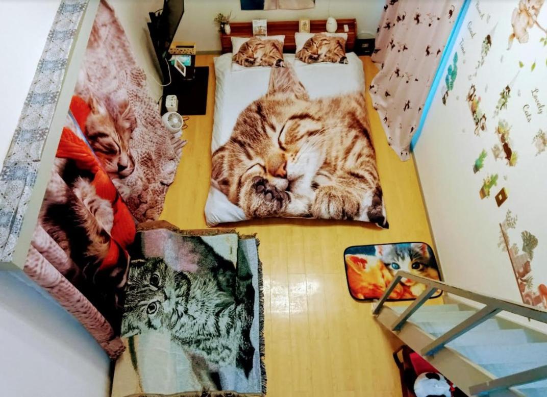 Tokyo Shibuya Shinjyuku Cat House ! Apartment Bagian luar foto