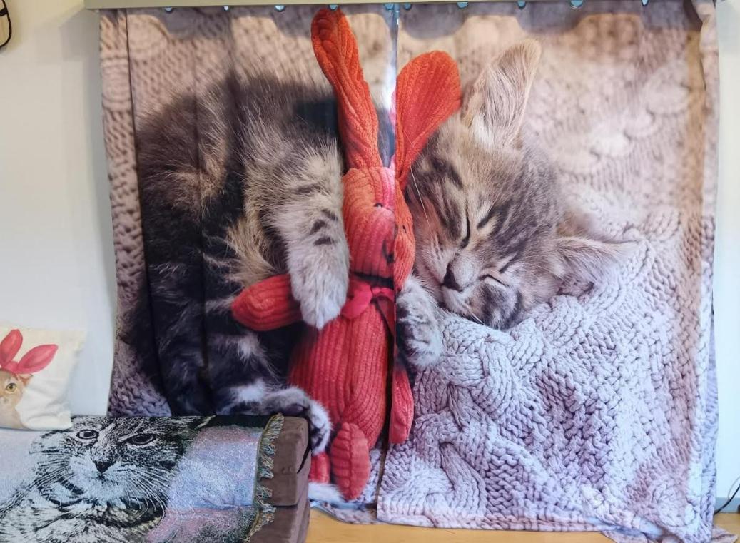 Tokyo Shibuya Shinjyuku Cat House ! Apartment Bagian luar foto