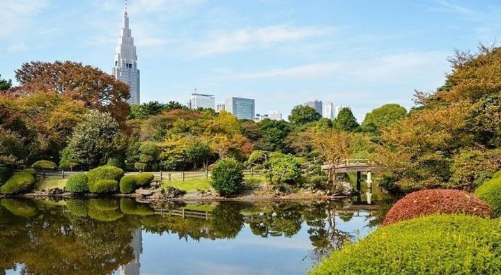 Tokyo Shibuya Shinjyuku Cat House ! Apartment Bagian luar foto
